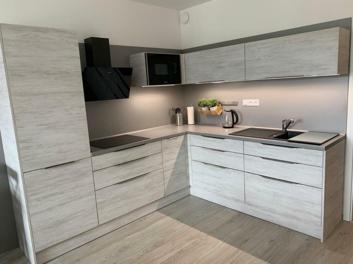 Apartman Denisa Lipno nad Vltavou Exterior foto